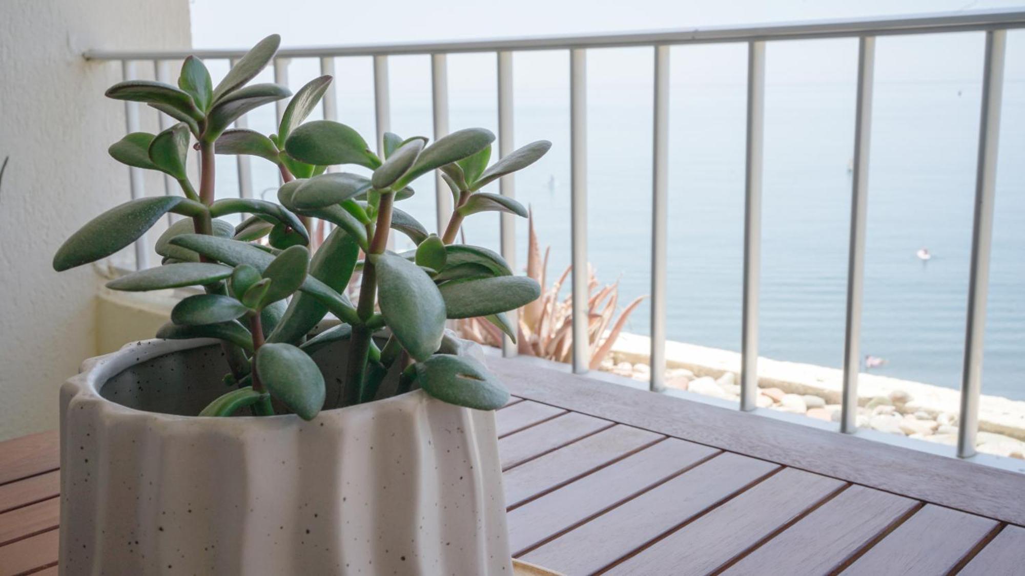 Apartamento Brisa Del Mar Almunecar Ngoại thất bức ảnh